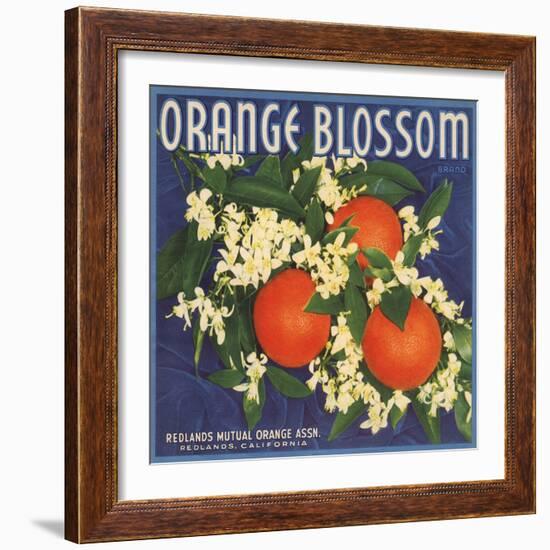 Orange Blossom Brand - Redlands, California - Citrus Crate Label-Lantern Press-Framed Premium Giclee Print