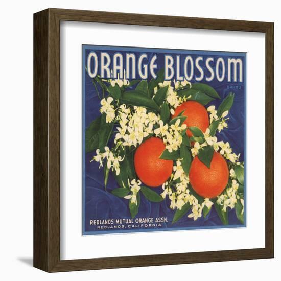 Orange Blossom Brand - Redlands, California - Citrus Crate Label-Lantern Press-Framed Art Print