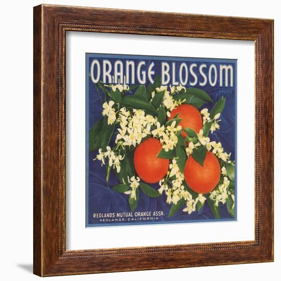 Orange Blossom Brand - Redlands, California - Citrus Crate Label-Lantern Press-Framed Art Print