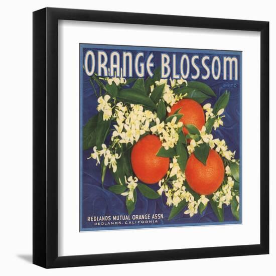 Orange Blossom Brand - Redlands, California - Citrus Crate Label-Lantern Press-Framed Art Print