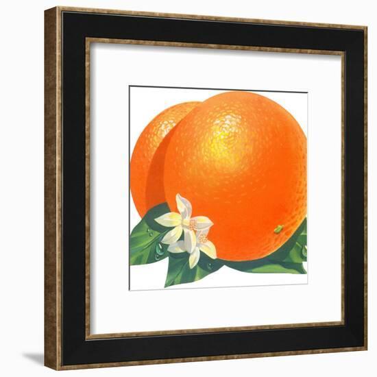 Orange Blossoms and Fruit-null-Framed Art Print
