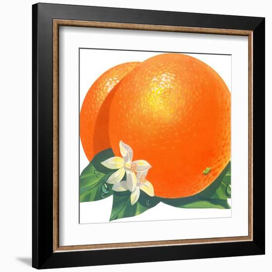 Orange Blossoms and Fruit-null-Framed Art Print