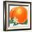 Orange Blossoms and Fruit-null-Framed Art Print