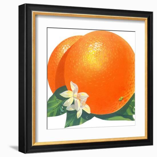 Orange Blossoms and Fruit-null-Framed Art Print