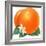 Orange Blossoms and Fruit-null-Framed Giclee Print