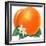 Orange Blossoms and Fruit-null-Framed Giclee Print