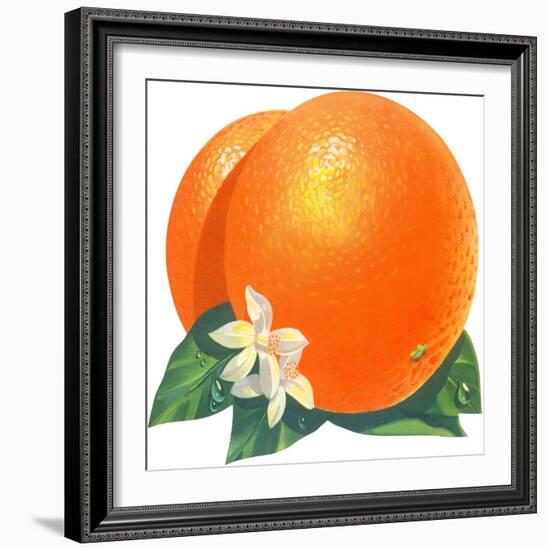 Orange Blossoms and Fruit-null-Framed Giclee Print