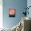Orange Blue Graphite-Iris Lehnhardt-Framed Stretched Canvas displayed on a wall