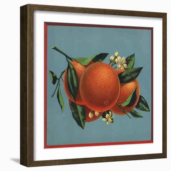 Orange Branch - Citrus Crate Label-Lantern Press-Framed Art Print