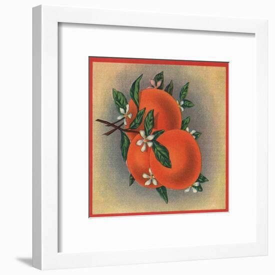 Orange Branch - Citrus Crate Label-Lantern Press-Framed Art Print