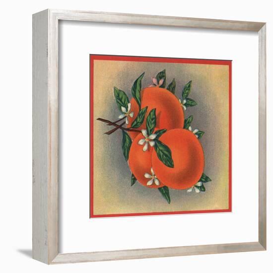 Orange Branch - Citrus Crate Label-Lantern Press-Framed Art Print