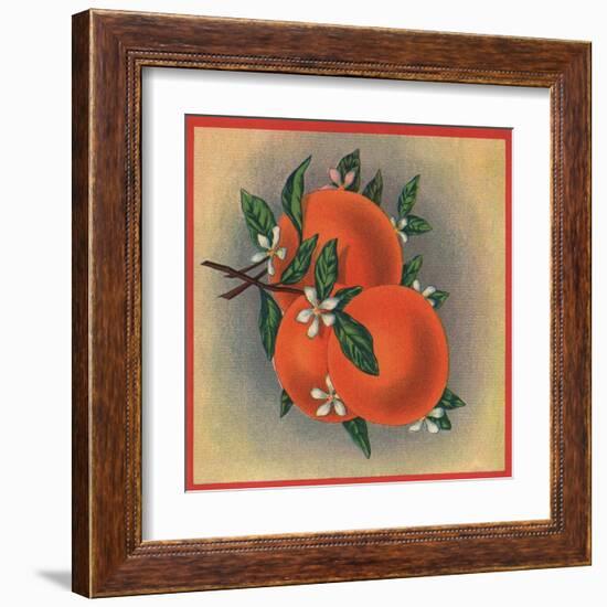 Orange Branch - Citrus Crate Label-Lantern Press-Framed Art Print