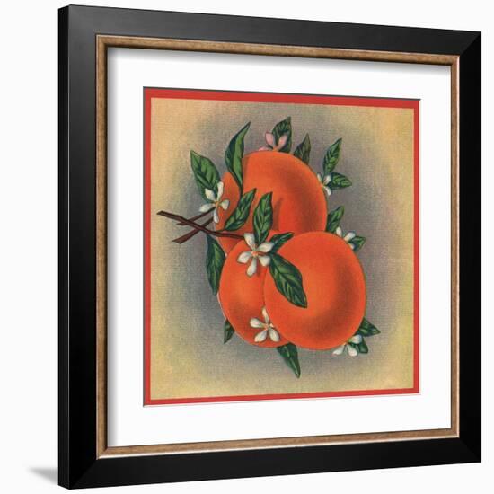 Orange Branch - Citrus Crate Label-Lantern Press-Framed Art Print