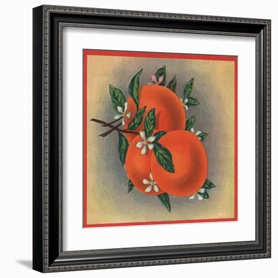 Orange Branch - Citrus Crate Label-Lantern Press-Framed Art Print