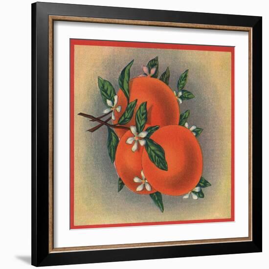 Orange Branch - Citrus Crate Label-Lantern Press-Framed Art Print