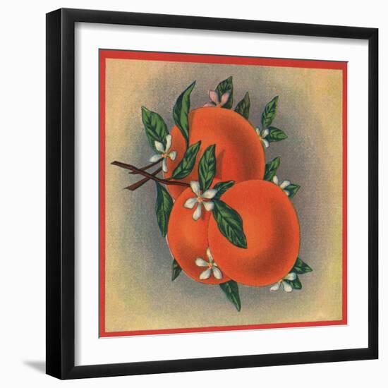 Orange Branch - Citrus Crate Label-Lantern Press-Framed Art Print