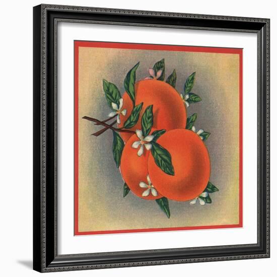 Orange Branch - Citrus Crate Label-Lantern Press-Framed Art Print