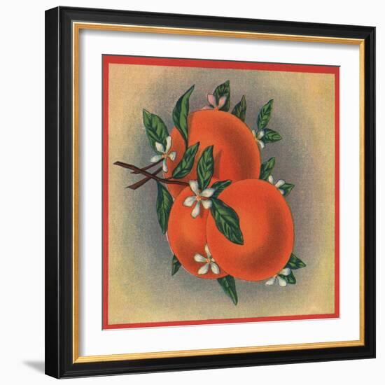 Orange Branch - Citrus Crate Label-Lantern Press-Framed Art Print