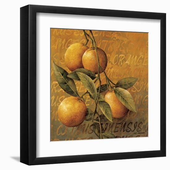 Orange Branch-Linda Thompson-Framed Art Print