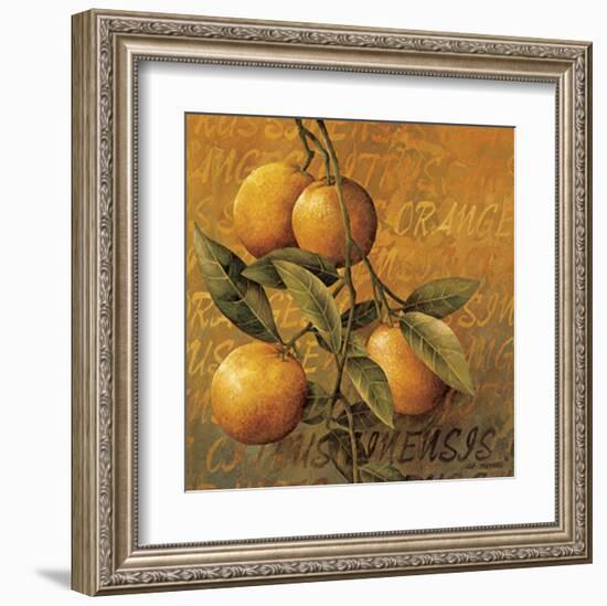 Orange Branch-Linda Thompson-Framed Art Print