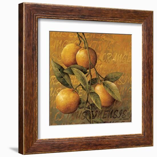 Orange Branch-Linda Thompson-Framed Art Print