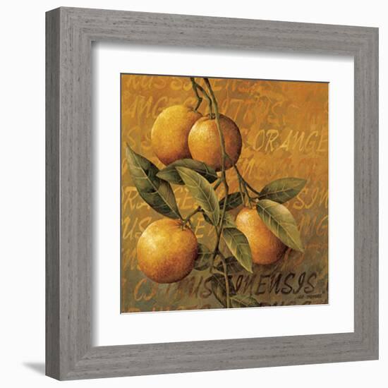 Orange Branch-Linda Thompson-Framed Art Print