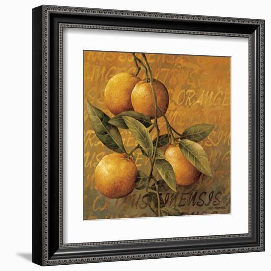 Orange Branch-Linda Thompson-Framed Art Print