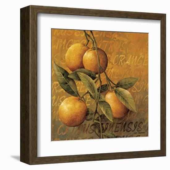 Orange Branch-Linda Thompson-Framed Art Print