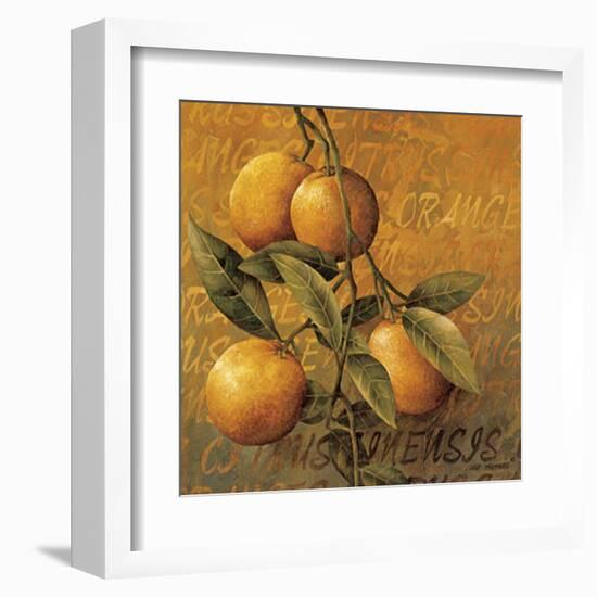 Orange Branch-Linda Thompson-Framed Art Print