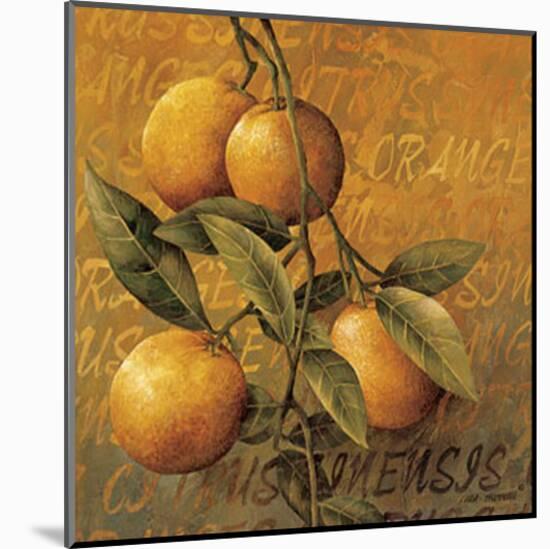 Orange Branch-Linda Thompson-Mounted Art Print