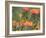 Orange-Breasted Sunbird, Anthobaphes Violacea, Kirstenbosch Botanical Garden, Cape Town-Steve & Ann Toon-Framed Photographic Print