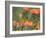 Orange-Breasted Sunbird, Anthobaphes Violacea, Kirstenbosch Botanical Garden, Cape Town-Steve & Ann Toon-Framed Photographic Print