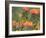 Orange-Breasted Sunbird, Anthobaphes Violacea, Kirstenbosch Botanical Garden, Cape Town-Steve & Ann Toon-Framed Photographic Print