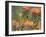 Orange-Breasted Sunbird, Anthobaphes Violacea, Kirstenbosch Botanical Garden, Cape Town-Steve & Ann Toon-Framed Photographic Print