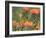 Orange-Breasted Sunbird, Anthobaphes Violacea, Kirstenbosch Botanical Garden, Cape Town-Steve & Ann Toon-Framed Photographic Print