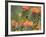 Orange-Breasted Sunbird, Anthobaphes Violacea, Kirstenbosch Botanical Garden, Cape Town-Steve & Ann Toon-Framed Photographic Print