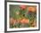 Orange-Breasted Sunbird, Anthobaphes Violacea, Kirstenbosch Botanical Garden, Cape Town-Steve & Ann Toon-Framed Photographic Print