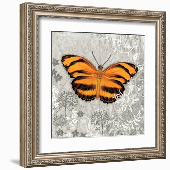 Orange Butterfly-Alan Hopfensperger-Framed Art Print