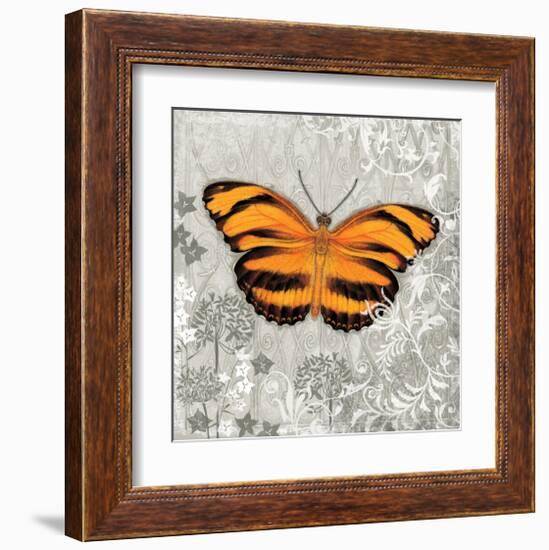 Orange Butterfly-Alan Hopfensperger-Framed Art Print