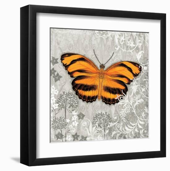 Orange Butterfly-Alan Hopfensperger-Framed Art Print