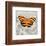 Orange Butterfly-Alan Hopfensperger-Framed Art Print