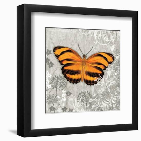 Orange Butterfly-Alan Hopfensperger-Framed Art Print