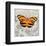 Orange Butterfly-Alan Hopfensperger-Framed Art Print