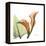 Orange Calla-Albert Koetsier-Framed Stretched Canvas