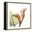 Orange Calla-Albert Koetsier-Framed Stretched Canvas