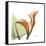 Orange Calla-Albert Koetsier-Framed Stretched Canvas