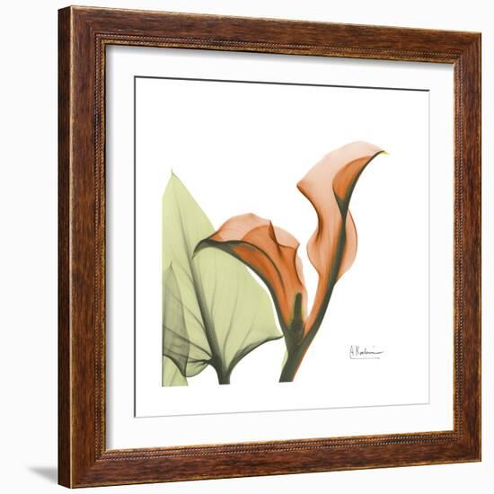 Orange Calla-Albert Koetsier-Framed Premium Giclee Print