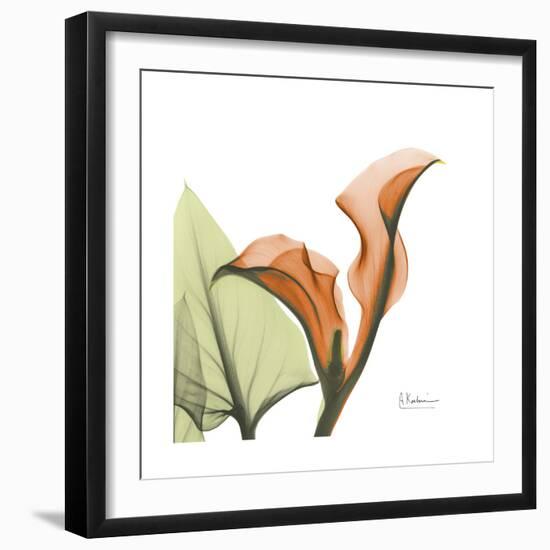 Orange Calla-Albert Koetsier-Framed Premium Giclee Print