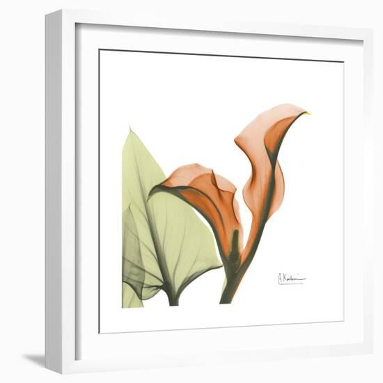 Orange Calla-Albert Koetsier-Framed Premium Giclee Print