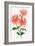 Orange Chrysanthemum-Surovtseva-Framed Premium Giclee Print